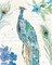 Peacock Garden II Poster Print by Anne Tavoletti - Item # VARPDX30421